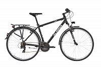 Alpina ECO T10 28" 2020, grey