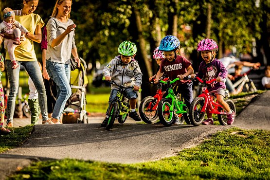 Kellys Kite 12, purple