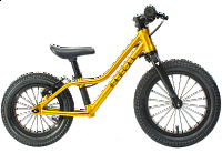 Rascal Punk 12", gold