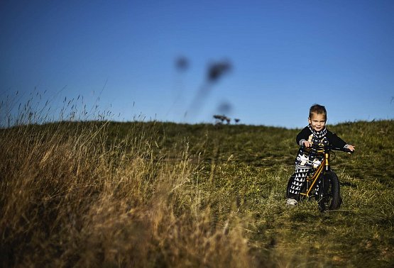 Rascal Punk 12", gold