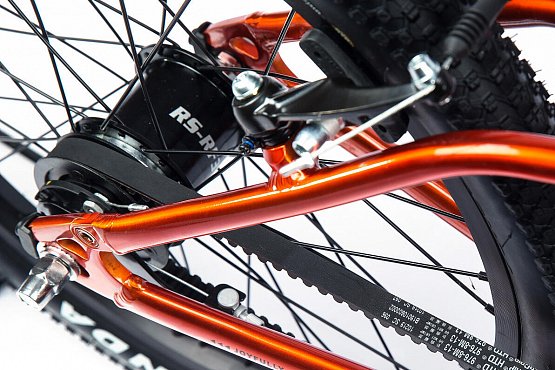 Rascal 20", orange Rascal 20", orange