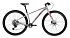 AMULET Youngster 1.11 SH 29" 2025, alu brushed transparent/red, 11,5kg AMULET Youngster 1.11 SH 29" 2025, alu brushed transparent/red, 11,5kg