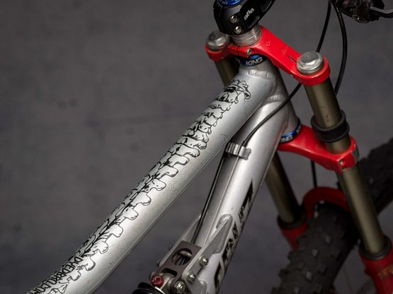 Ochranná fólia DYEDbro Bones Black, matná