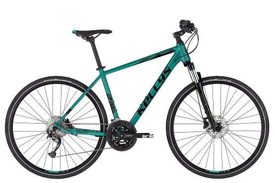 Kellys Phanatic 30, teal, L