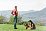 DEVOLD Expedition Merino 235 Shirt Woman, beetroot-flame, L DEVOLD Expedition Merino 235 Shirt Woman, beetroot-flame, L