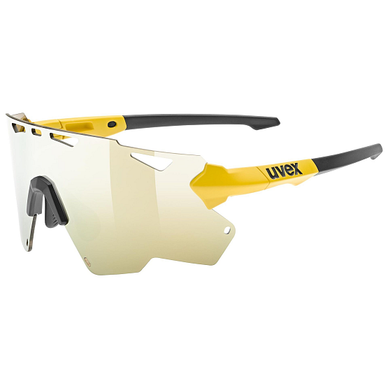 UVEX Sportstyle 228 sunbee black mat s3