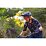 NORTHWAVE Bomb Flower Jersey Short Sleeve, black/purple, XL NORTHWAVE Bomb Flower Jersey Short Sleeve, black/purple, XL