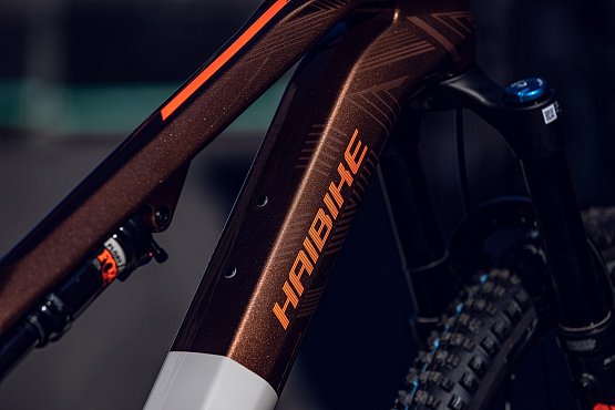 HAIBIKE Lyke CF10 430Wh 29" bronze/orange-gloss HAIBIKE Lyke CF10 430Wh 29" bronze/orange-gloss