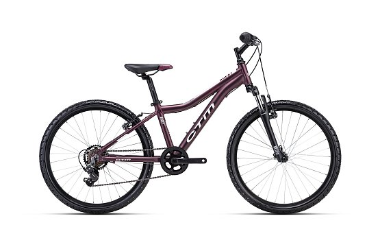 CTM Rocky 2.0 24" 2024, matná tmavoružová perleť, 13"