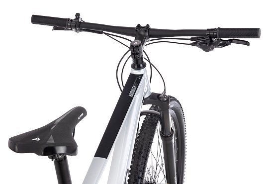 CTM Rambler 3.0 29" 2024, strieborná/matná čierna