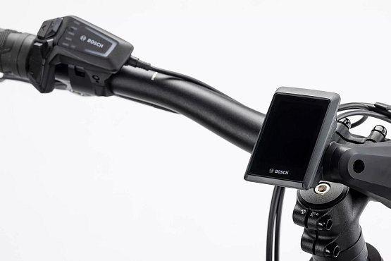 GHOST E-Teru Advanced 2024, (750 Wh), grey/gold