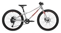 AMULET Youngster SH 24" 2025, alu brushed transparent/red, 9,3kg AMULET Youngster SH 24" 2025, alu brushed transparent/red, 9,3kg