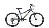 CTM Berry 24" 2025, matná sivá/neónovozelená, 13" CTM Berry 24" 2025, matná sivá/neónovozelená, 13"
