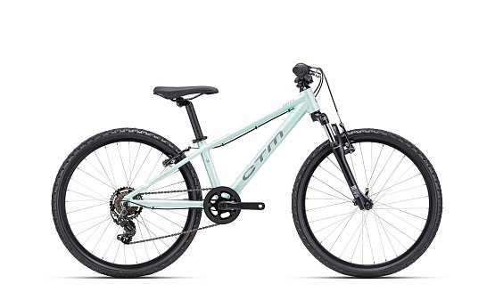 CTM Rocky 2.0 24" 2025, matná tyrkysová perleť/sivá, 13"