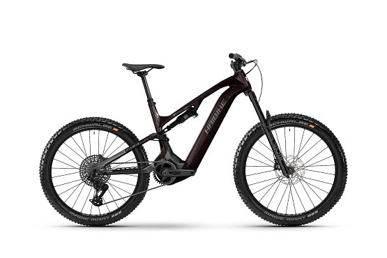 HAIBIKE AllMtn CF 9 29"/27.5" (800Wh), black/platinum gloss HAIBIKE AllMtn CF 9 29"/27.5" (800Wh), black/platinum gloss