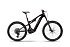 HAIBIKE AllMtn CF 9 29"/27.5" (800Wh), black/platinum gloss HAIBIKE AllMtn CF 9 29"/27.5" (800Wh), black/platinum gloss