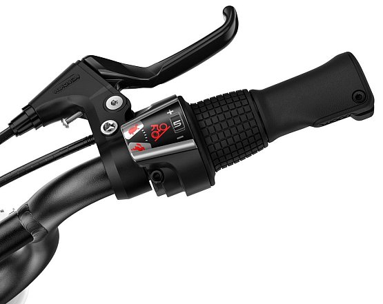 WOOM 4 GO 20", metallic turquoise