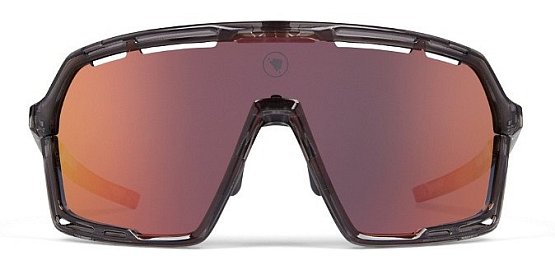 ENDURA Pro Sl Glasses Set, grey