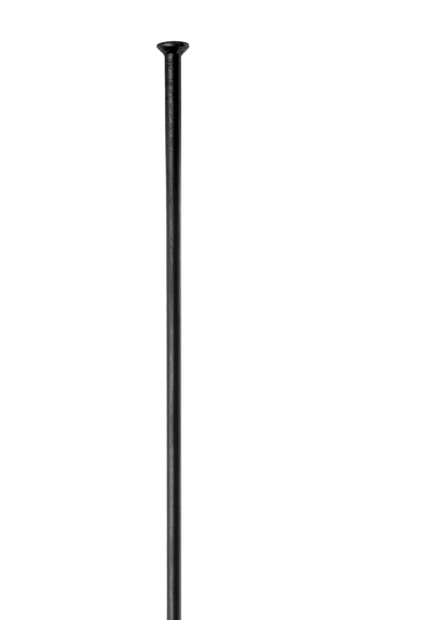Špice DT SWISS Champion Straightpull, 2.0x307 mm, black